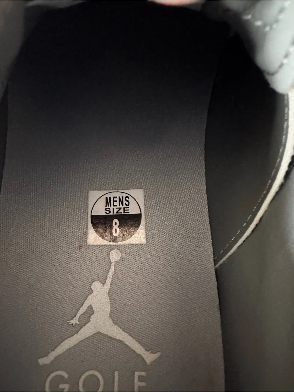 Men's Grey Michael Jordan Shoes